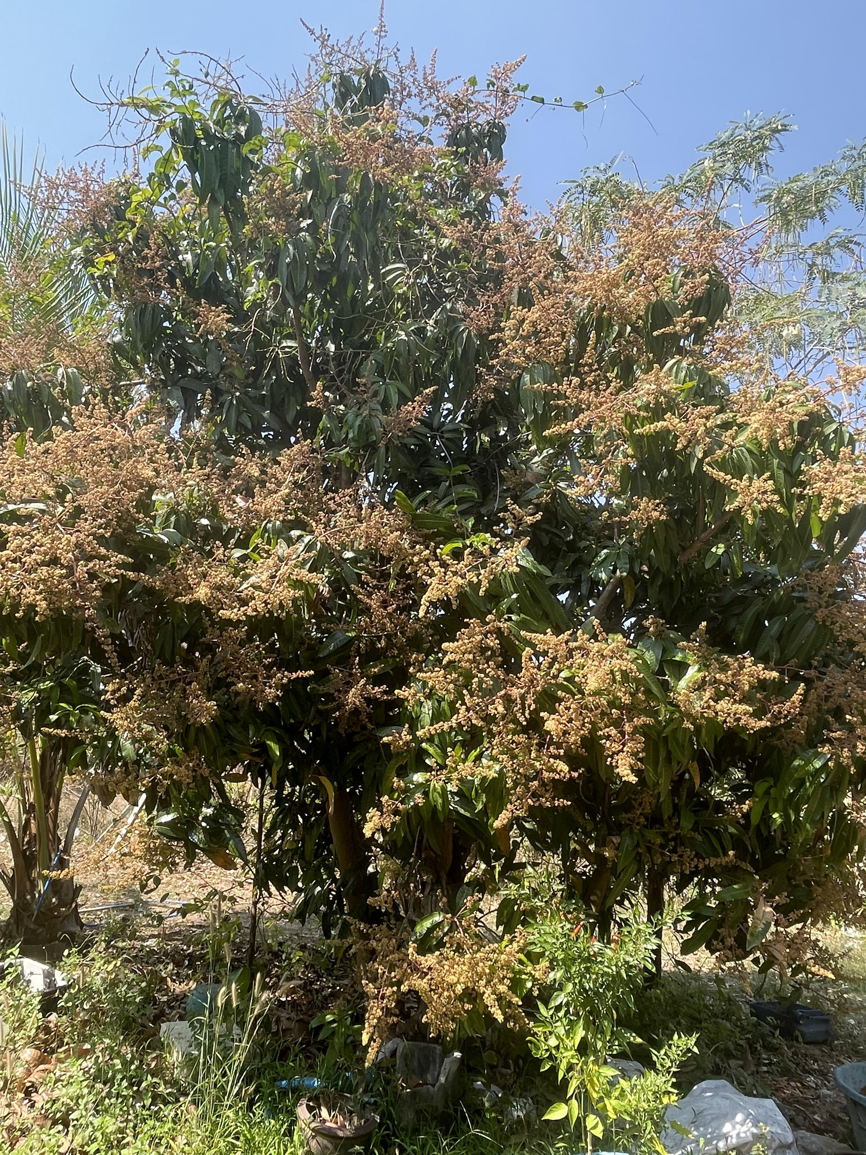 ธรรมชาติคือชีวิต